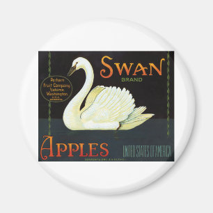 Svan och äpplen magnet