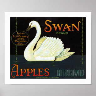 Svan och äpplen poster