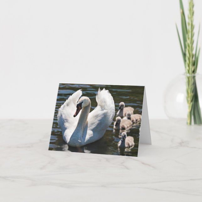 Svan och Cygnet Kort (Framsida)