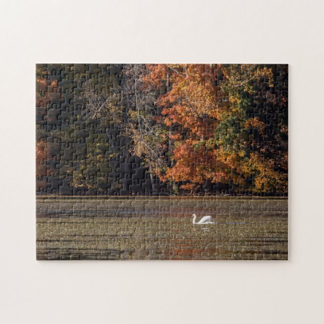 Svan och Fall Foliage Pussel (Horisontell)