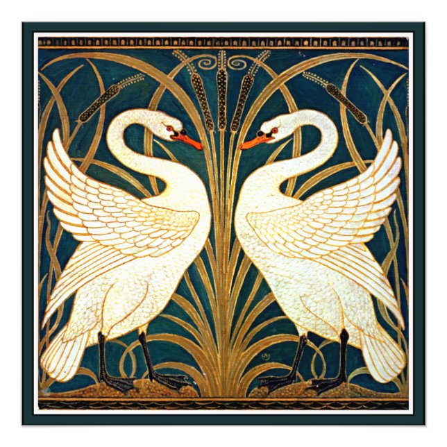 Svan och Rush och Iris Fototryck (Framsidan)