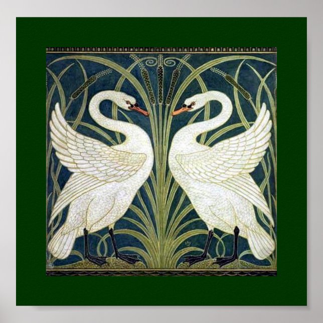 Svan och Rush och Iris tapet Poster (Framsidan)