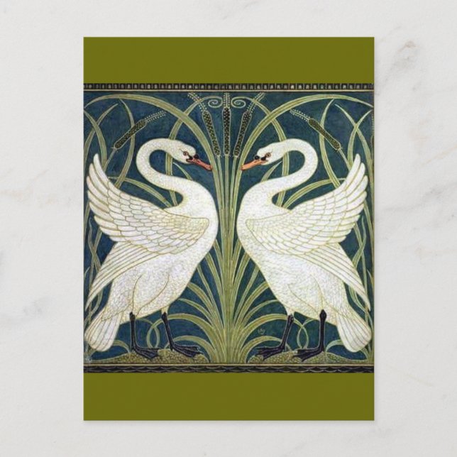 Svan och Rush och Iris tapet Vykort (Framsida)