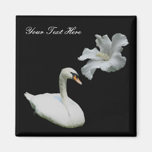 Svan och vitt Hibiscus-blommor Magnet