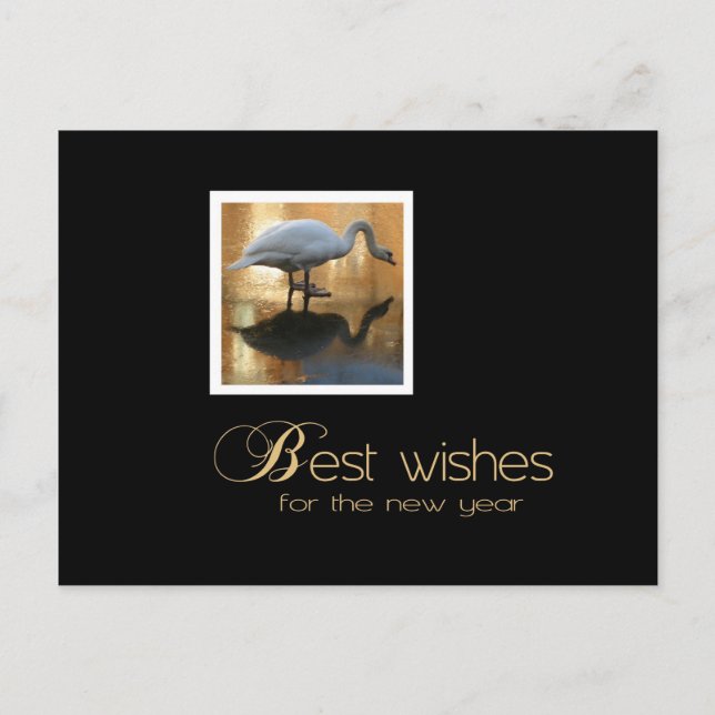 svan önskemål vykort (Framsida)