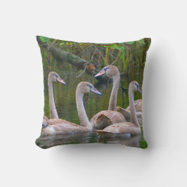 Svan Pillow Kudde