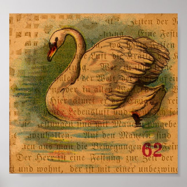 Svan Poster (Framsidan)