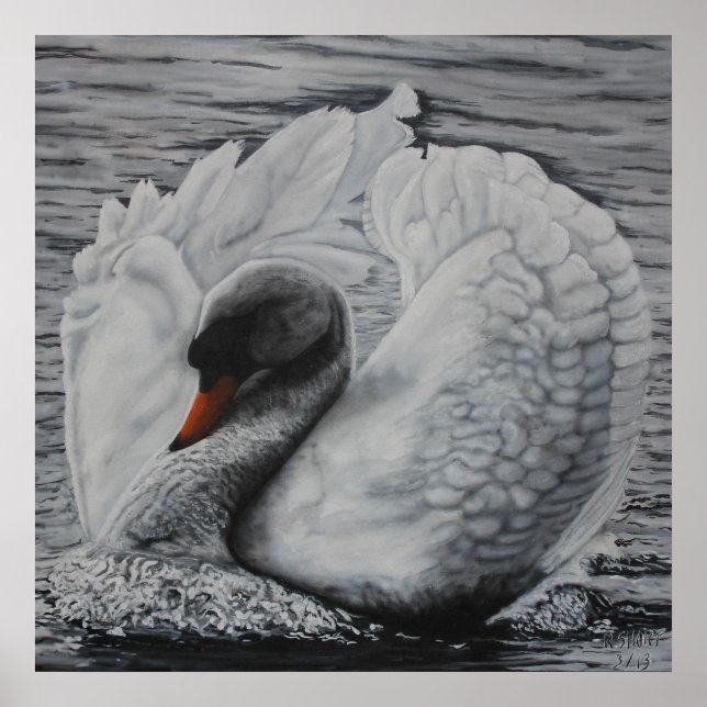 Svan Poster (Framsidan)