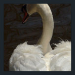 Svan Poster<br><div class="desc">Svan</div>