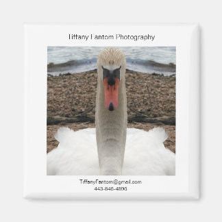 Svan Promo Biet Magnet