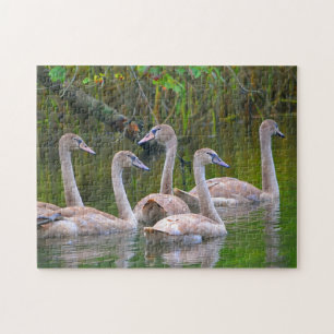 Svan Puzzle Pussel