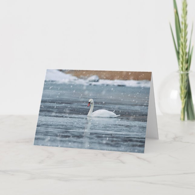 Svan simmar i snövintern villkor helgkort (Framsida)