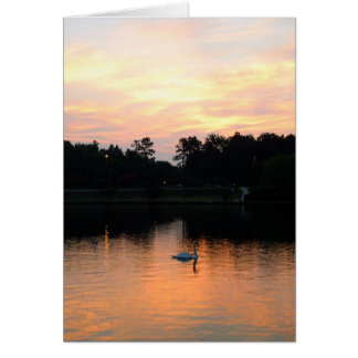 Svan sjö hälsningskort
