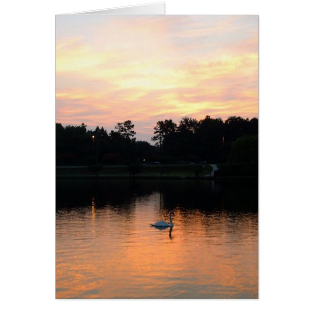 Svan sjö hälsningskort (Framsidan)