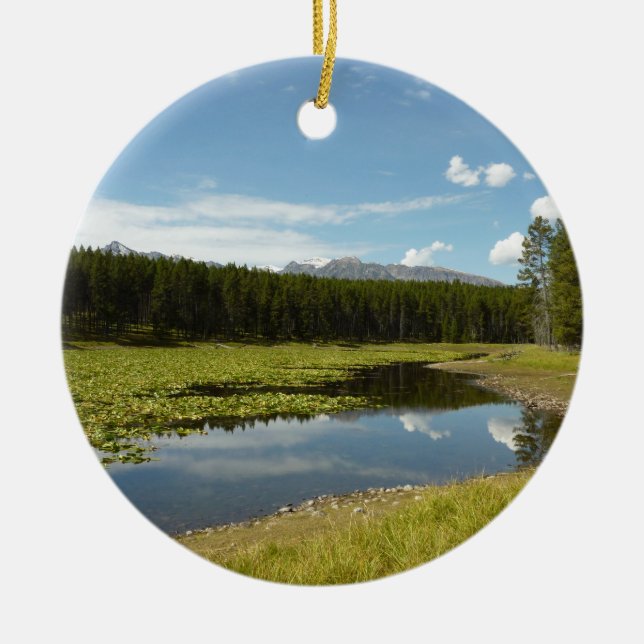Svan Sjö I i nationalparken Grand Teton Julgransprydnad Keramik (Framsidan)