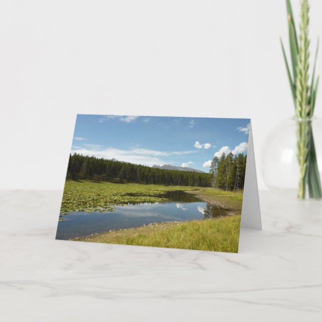 Svan Sjö I i nationalparken Grand Teton Kort (Framsida)