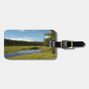 Svan Sjö I vid Grand Teton National Park Bagagebricka