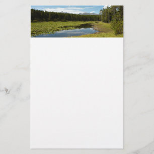 Svan Sjö I vid Grand Teton National Park Brevpapper