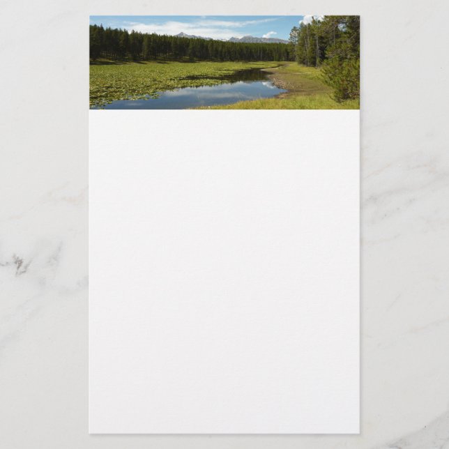 Svan Sjö I vid Grand Teton National Park Brevpapper (Framsida)