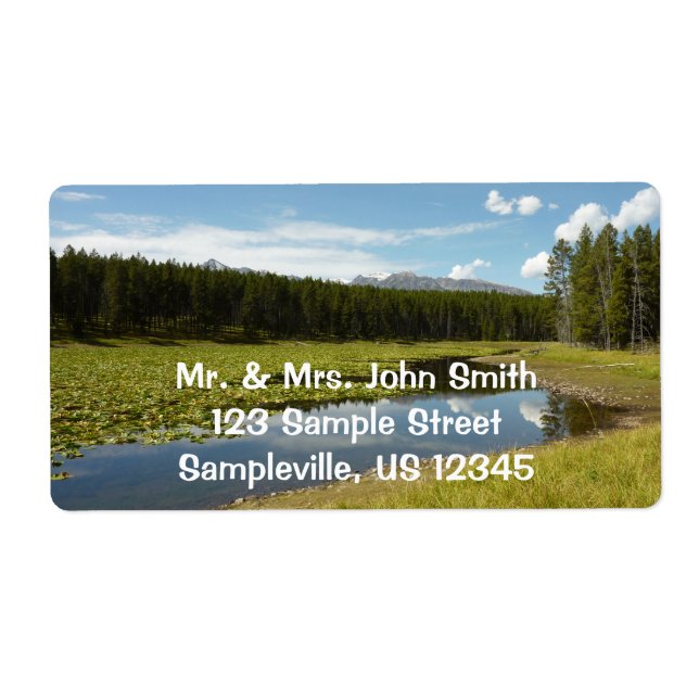 Svan Sjö I vid Grand Teton National Park Fraktsedel (Framsidan)