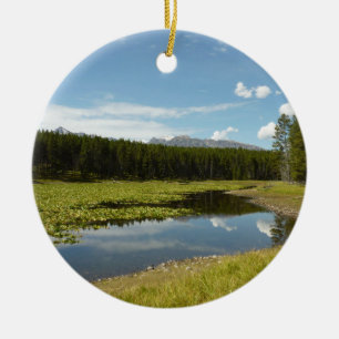 Svan Sjö I vid Grand Teton National Park Julgransprydnad Keramik