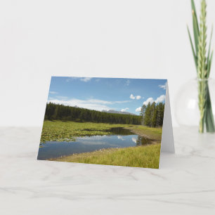 Svan Sjö I vid Grand Teton National Park Kort