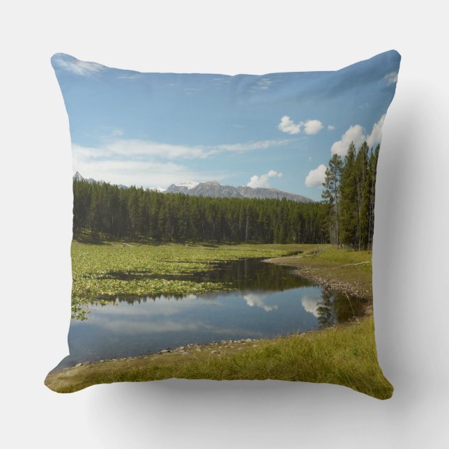 Svan Sjö I vid Grand Teton National Park Kudde (Framsida)