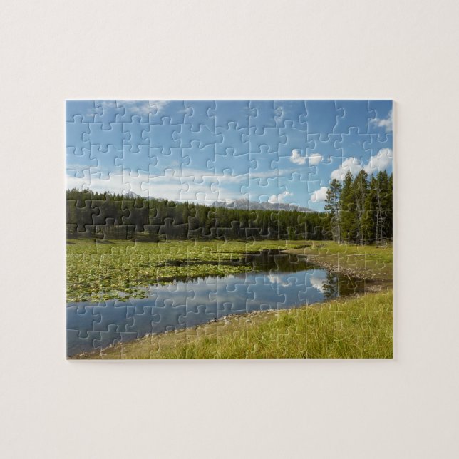 Svan Sjö I vid Grand Teton National Park Pussel (Horisontell)