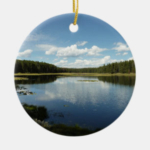 Svan Sjö II vid Grand Teton National Park Julgransprydnad Keramik