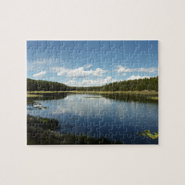 Svan Sjö II vid Grand Teton National Park Pussel (Horisontell)