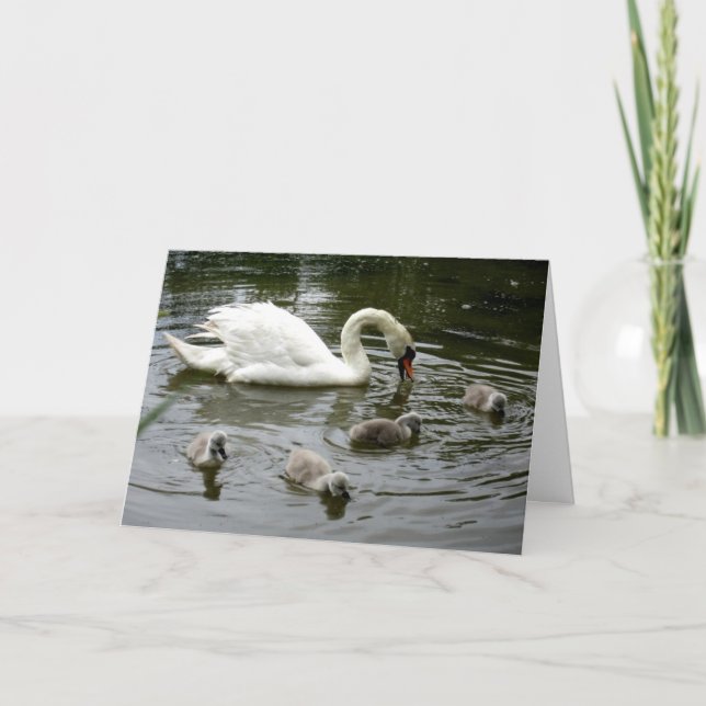 Svan Sjö Kort (Framsida)