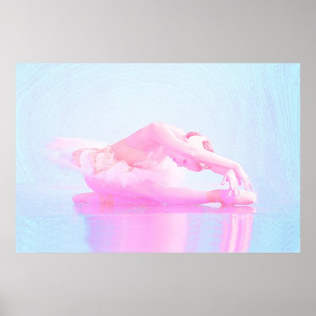 Svan Sjö Poster (Framsidan)