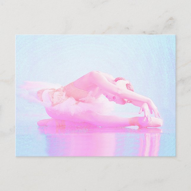 Svan Sjö Vykort (Framsida)