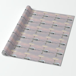 Svan solnedgångsfoto presentpapper