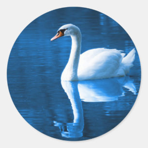 Svan Sticker Runt Klistermärke