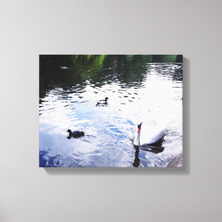 SVAN SVIMMING I EN ENGELSK GARDEN poster Canvastryck