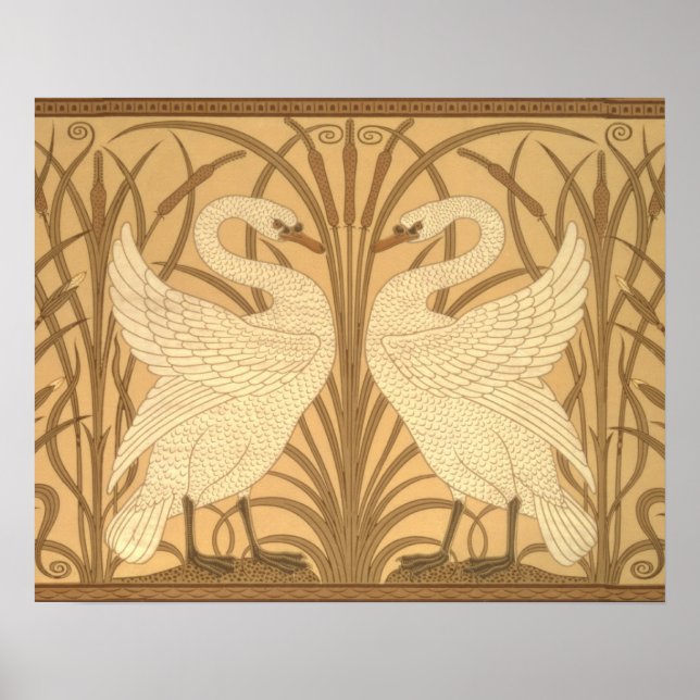 Svan tapet poster (Framsidan)