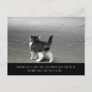 Svan Up-vykort (Kitten) Vykort