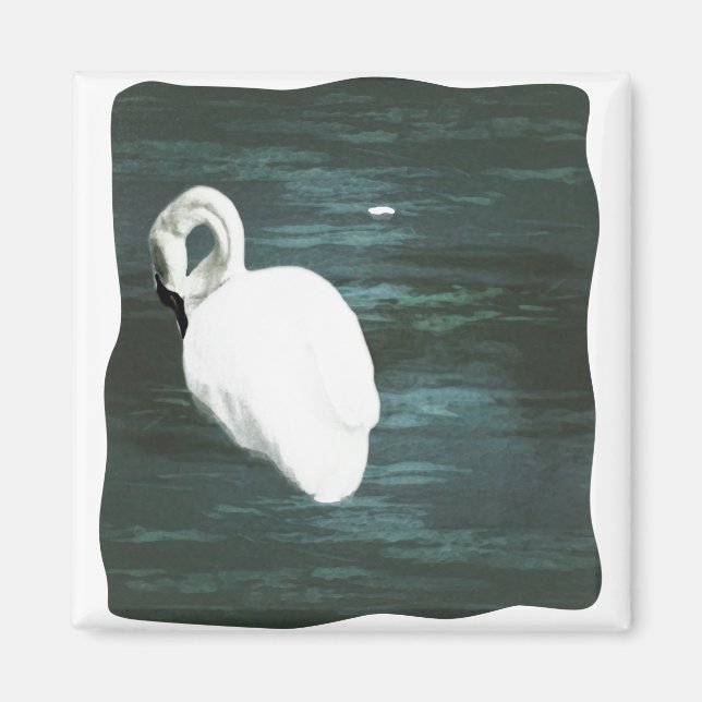 Svan vid dammen magnet (Framsidan)