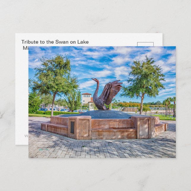 Svan Vykort (Fram/baksida)