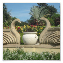 Svanar Guarding Hollis Gardens på en