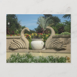 Svanar Guarding Hollis Gardens Vykort