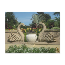 Svanar Guarding Hollis Gardens