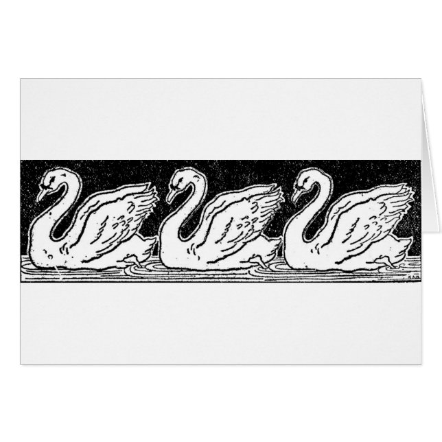 Svanar Hälsningskort (Framsidan Horizontal)