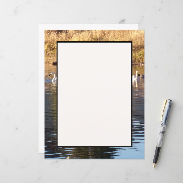 Svanar i Anka Stationery Lakan (Fram/Back In Situ)