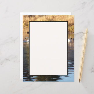 Svanar i Anka Stationery Lakan