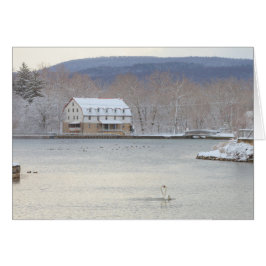 Svanar i damm med mal och backar hälsningskort