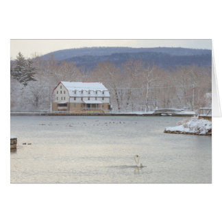 Svanar i damm med mal och backar hälsningskort