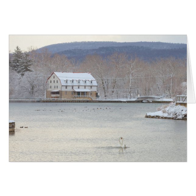 Svanar i damm med mal och backar hälsningskort (Framsidan Horizontal)