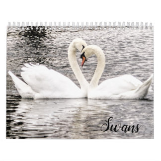 Svanar i Spring Grove  Kalender